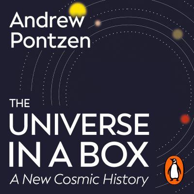 Universe in a Box