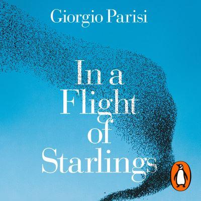 In A Flight Of Starlings